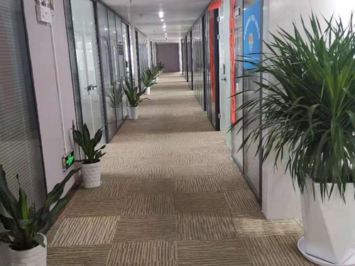 汕尾公司注册